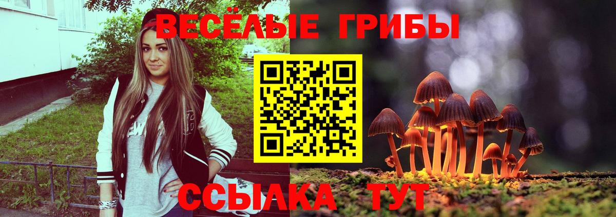 Псилоцибиновые грибы ЛСД Амурск